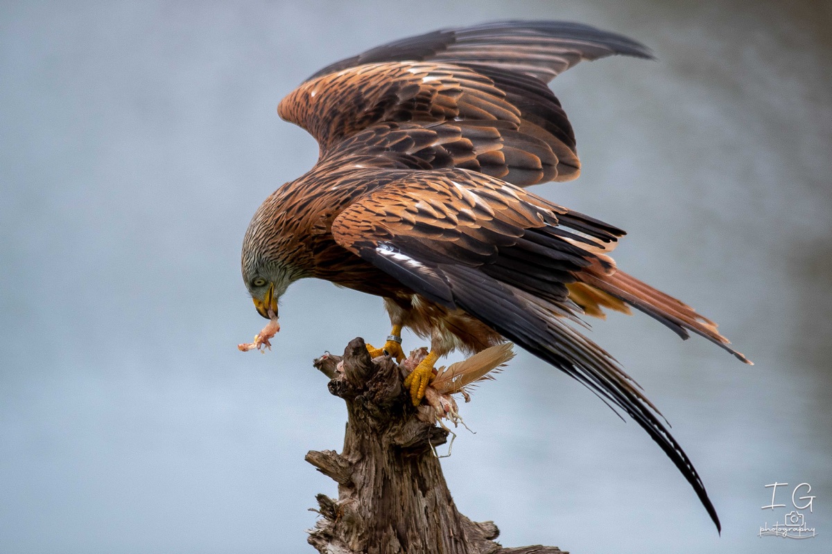 AK6I2108 31 oktober 2021 1556 20